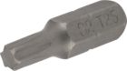 Bit 1/4" Torx T25x25 mm