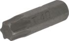 Bit 1/4" Torx T40x25 mm